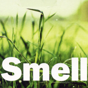 Smell